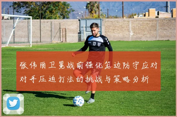 张伟丽卫冕战前强化笼边防守应对对手压迫打法的挑战与策略分析