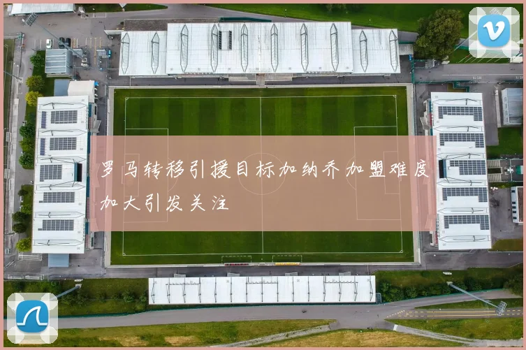 罗马转移引援目标加纳乔加盟难度加大引发关注